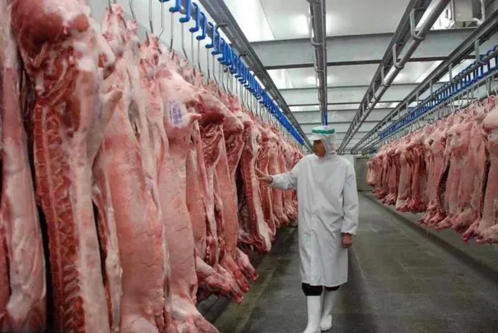 肉类冷库
