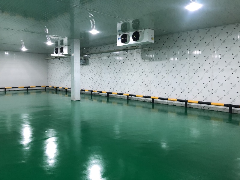 西红柿冷库