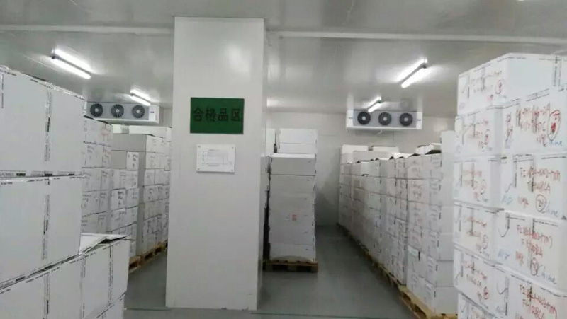 药品冷藏库